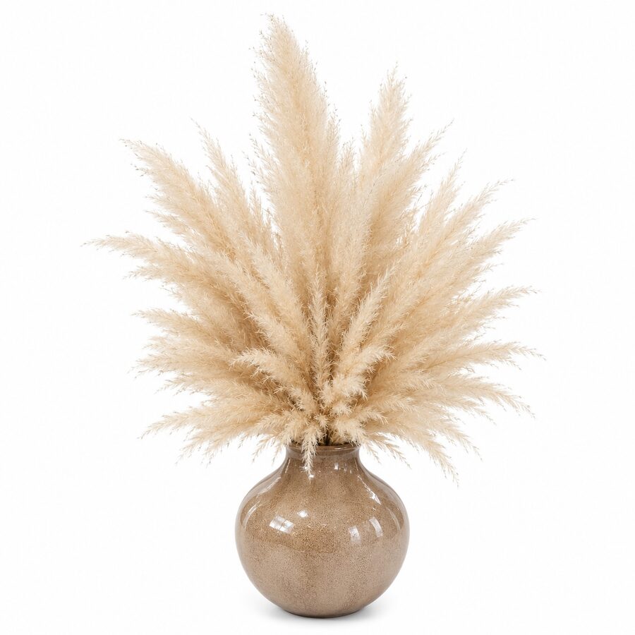 Composizione di pampas in vaso di ceramica, consegna a domicilio a Napoli
